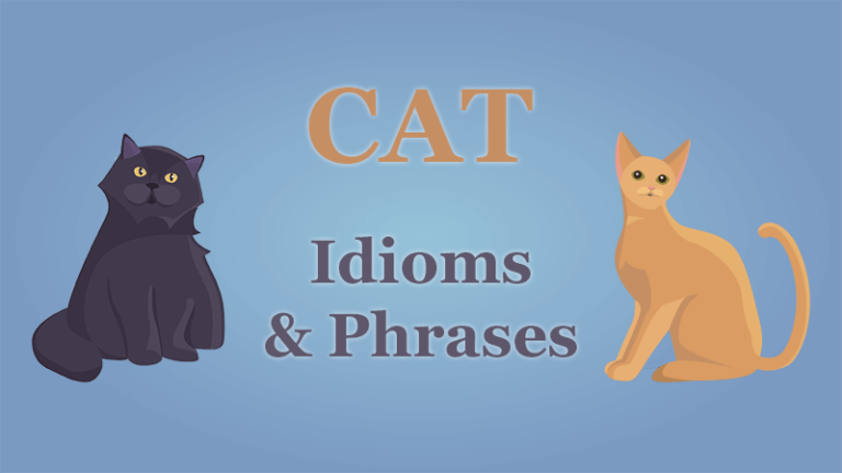 Don't Be a Scaredy-Cat: Master These 13 Cat Idioms & Phrases